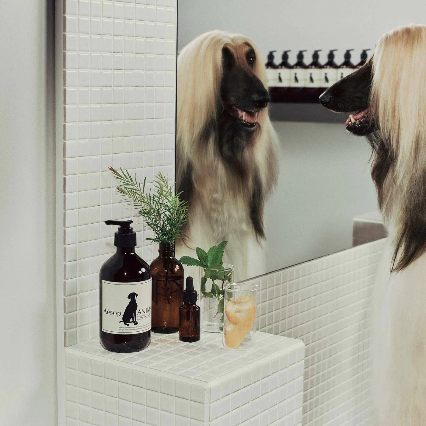 A mild skin and fur wash with deodorising properties; cleanses gently yet thoroughly while calming sensitive skin.