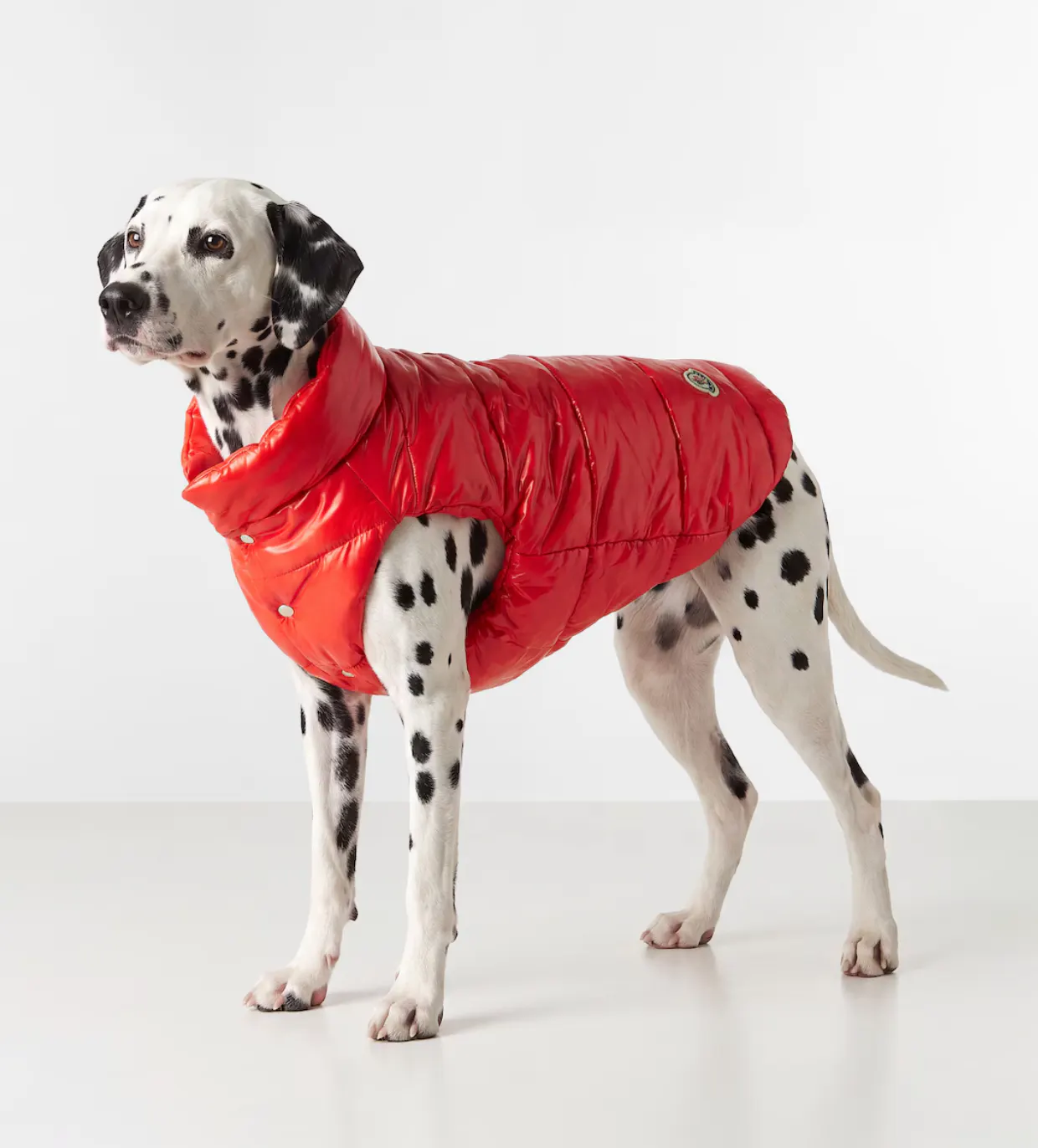Moncler Genius offers the possibility to match your furry friend with this quilted dog coat from the Poldo Dog Couture collaboration. Made from shiny nylon, this red design has a snap-buttoned front.