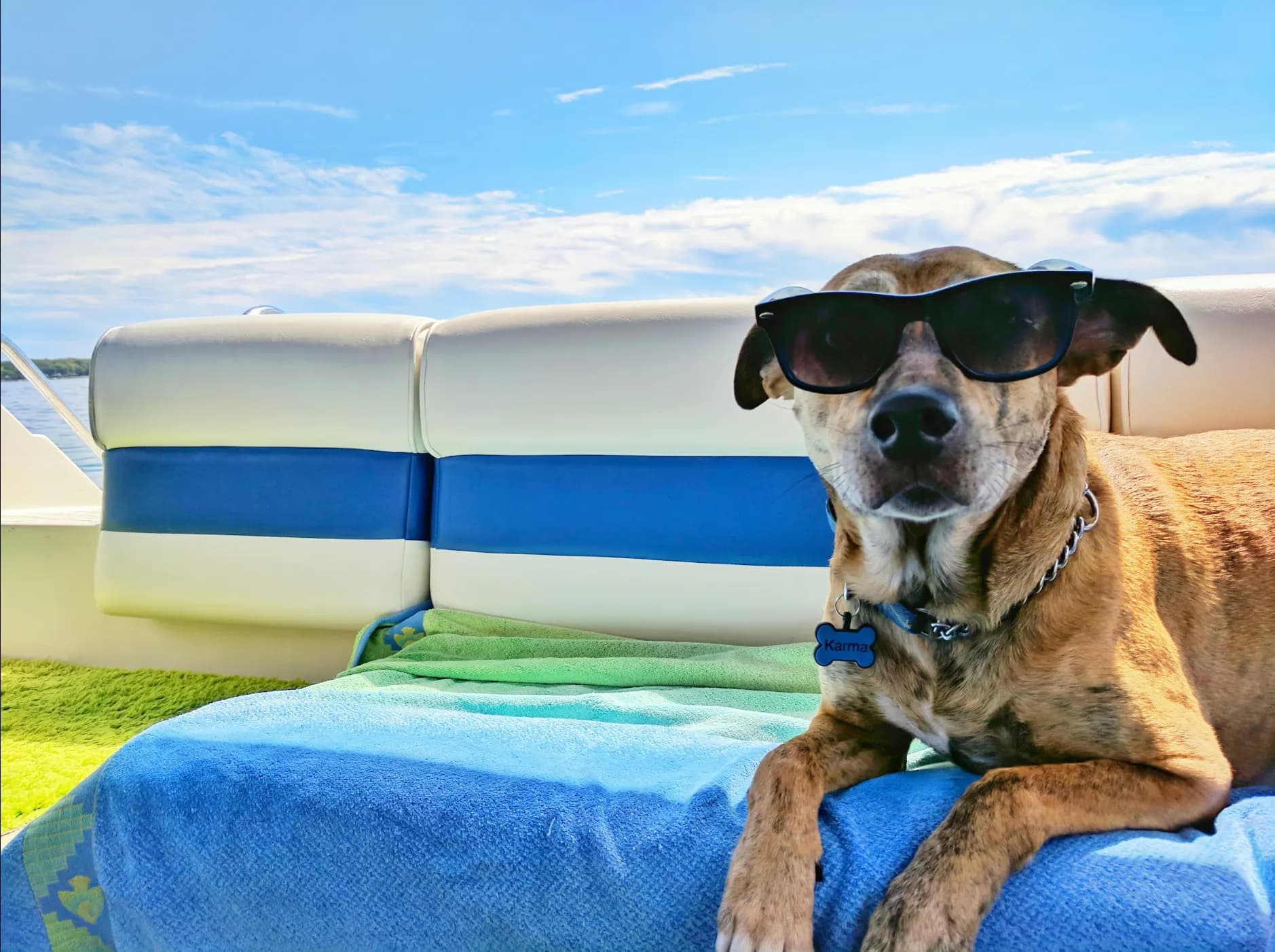 Explore the great outdoors with your dog.