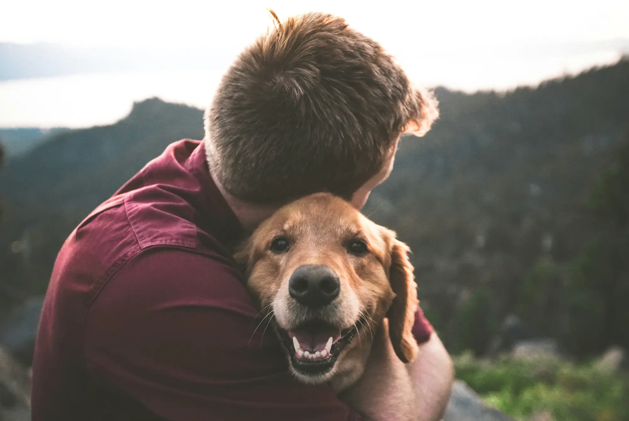 A dog and its owner.