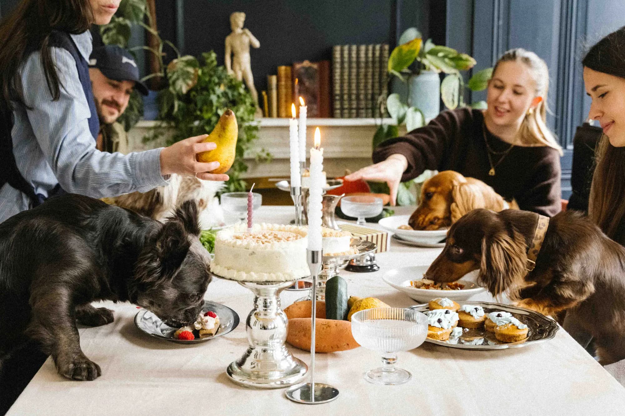 Bon appétit, pup: Fresh, handmade treats made with dogs’ wellbeing.