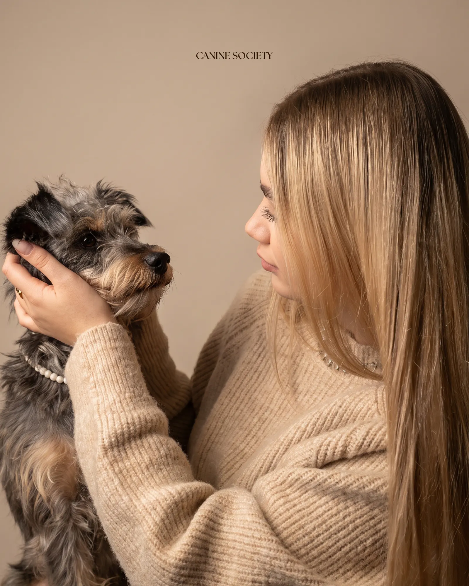 Home is where the dogs are