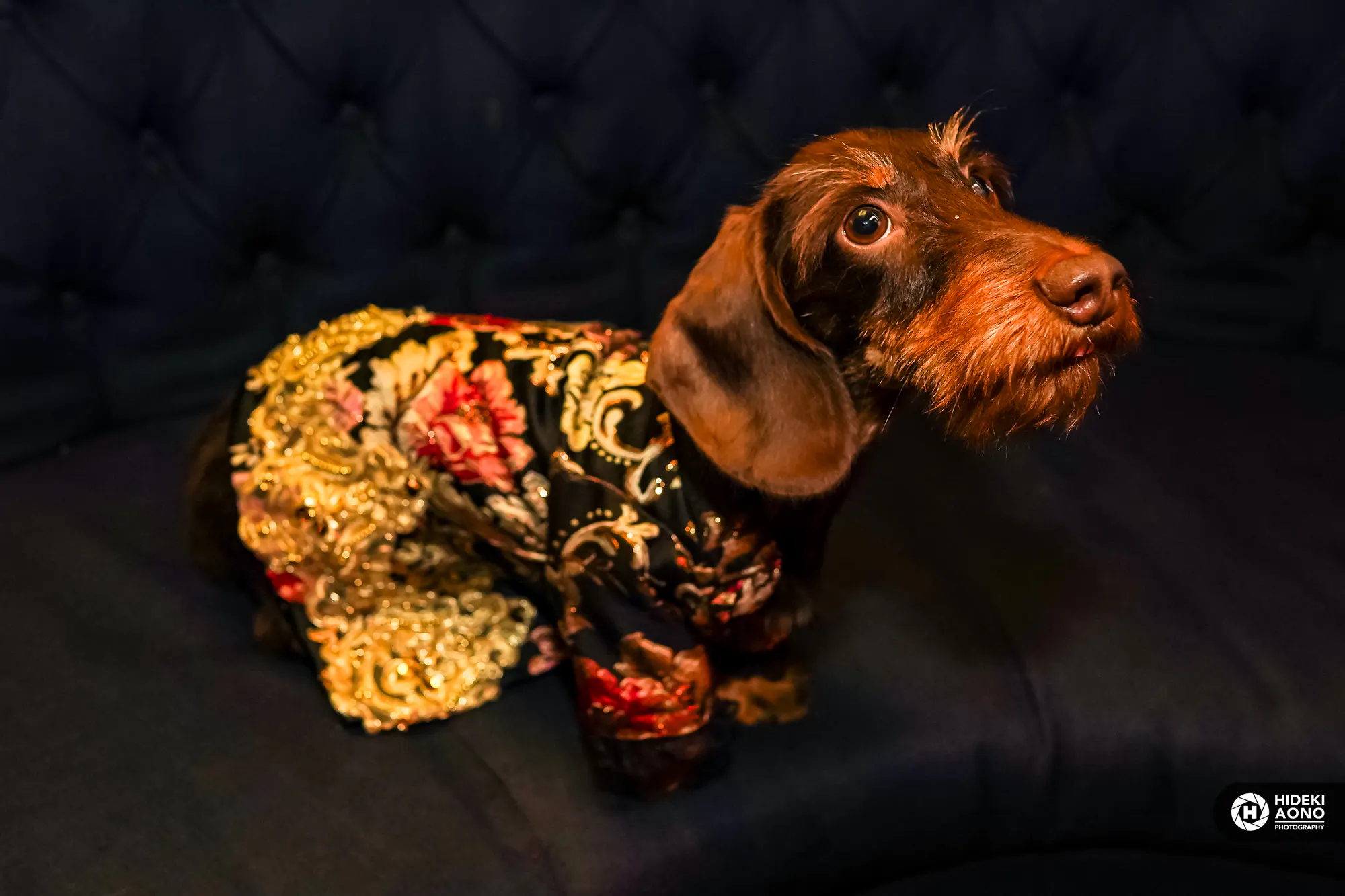 George in Anthony Rubio couture.