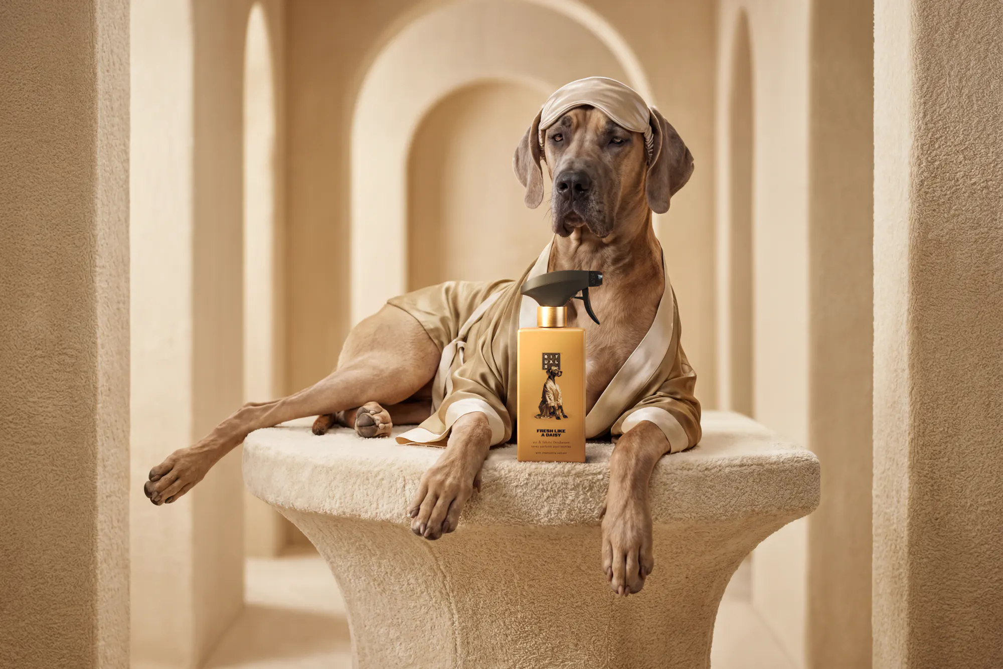 A little care for your favourite four-legged companion.