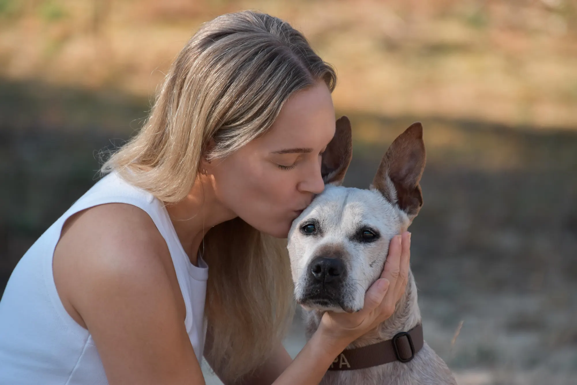 Sanne with one of the many rescue dogs she has helped along the way.