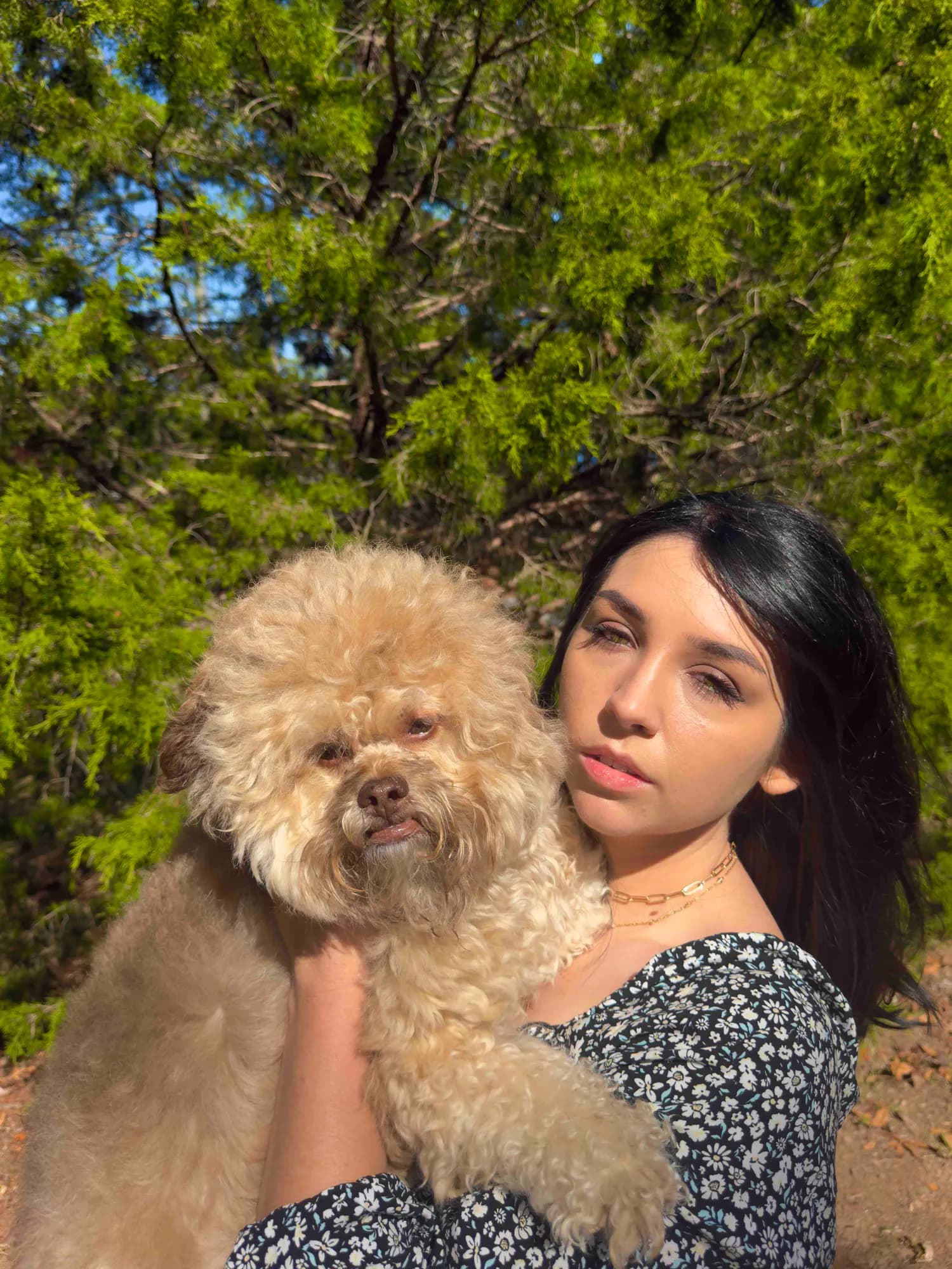 The Dog Who Changed Her Life: Kat Nance and Lil’ Max’s Extraordinary Bond